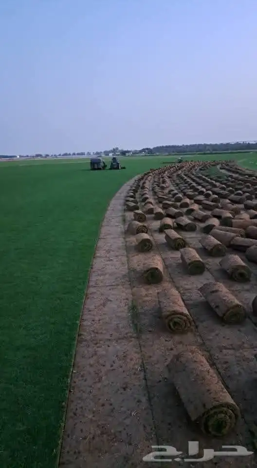 ثيل طبيعي للبيع   مع التوصيل والتركيب جميع مناطق المملكه 0