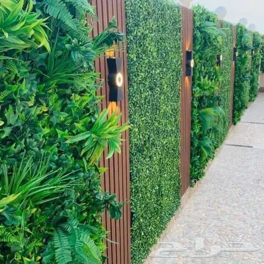 حدائق منزلية 16