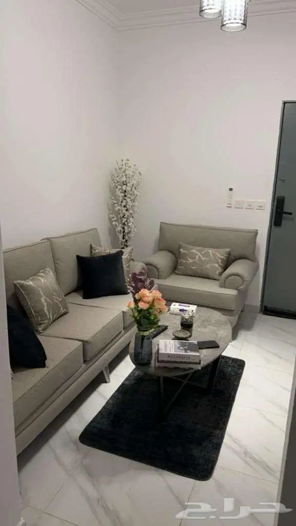 شقق للايجار الشهري المونسية 4
