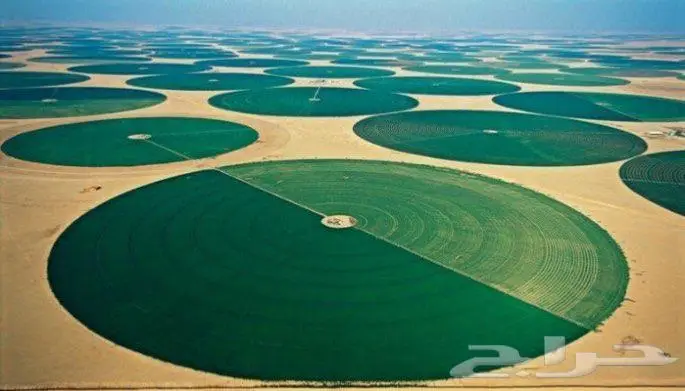 للإيجار رشاش زراعي محوري 8 ابراج 0