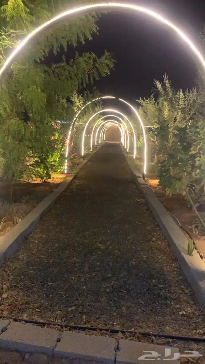 للبيع مزراعه في مركز السيباني 39