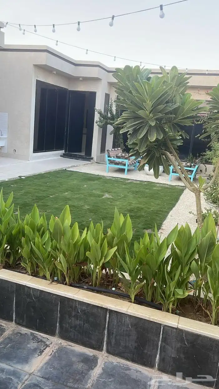 شاليه ماتش للآجار اليومي - بريدة - 19