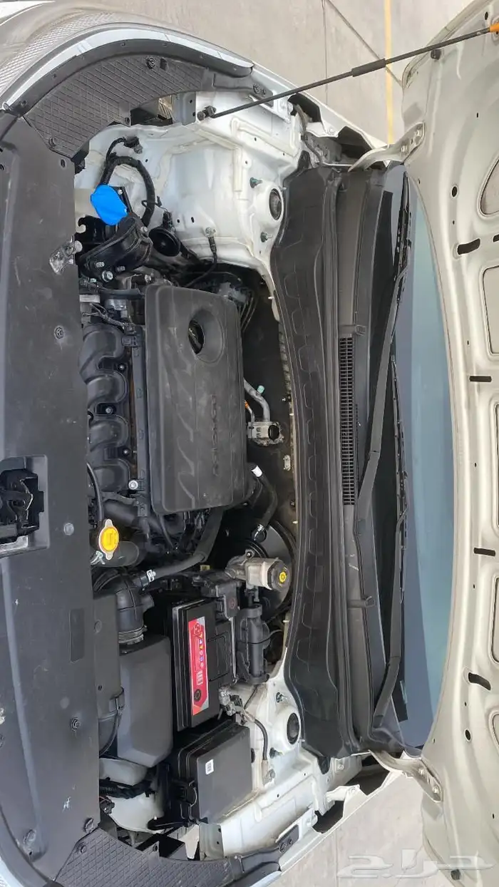 كياء سلتوس 2020 8