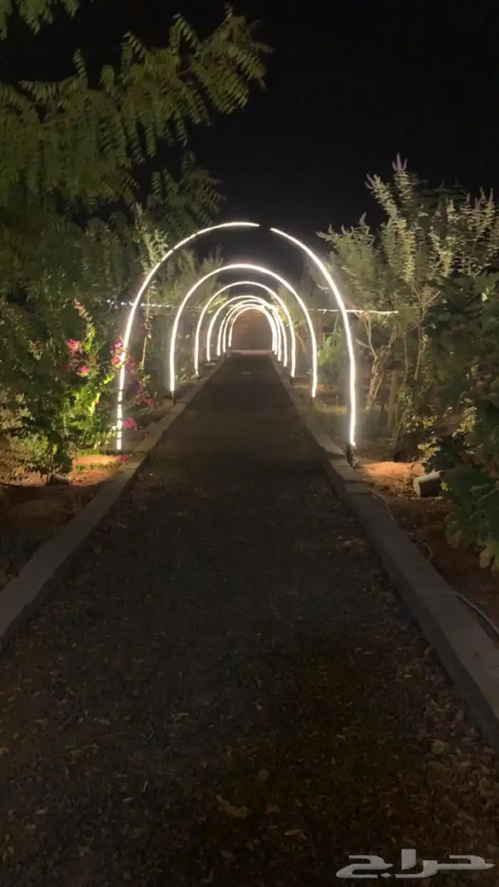 للبيع مزراعه في مركز السيباني 42