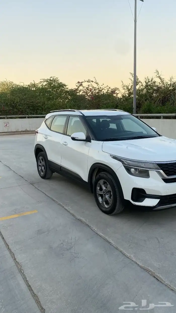 كياء سلتوس 2020 2