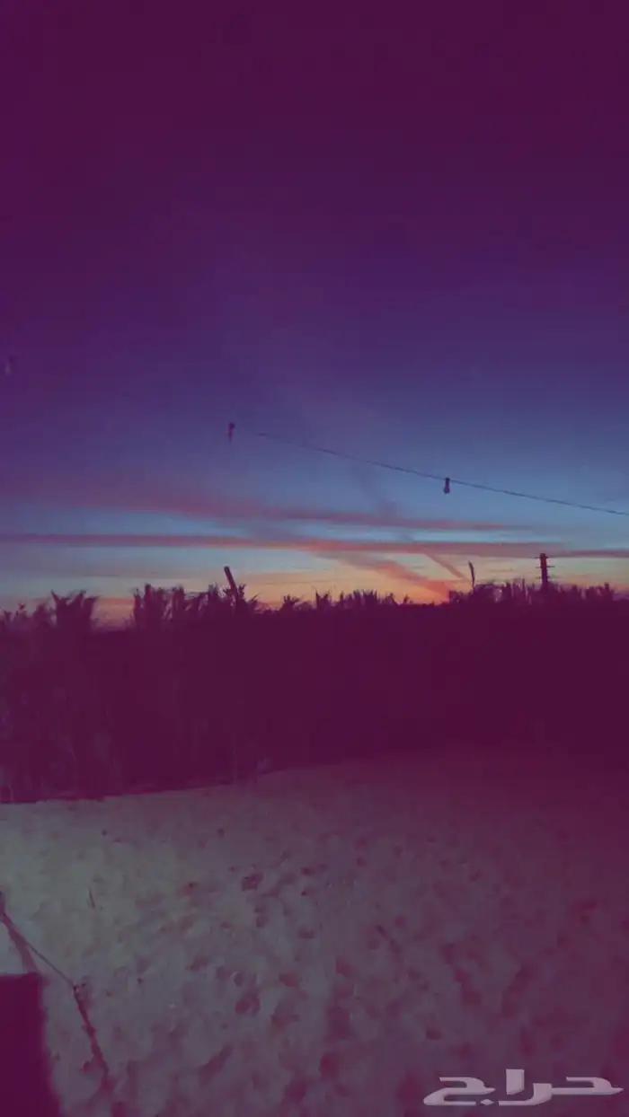 مخيم ليالي المشاعلة 3