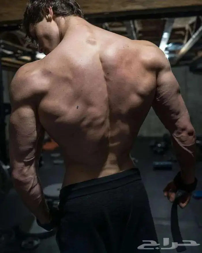 والله اقوى عرض للجداول التدريبية 3x3 0