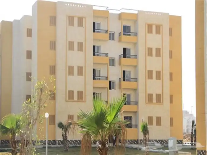 مطلوب شقة للإيجار في الدوادمي 0