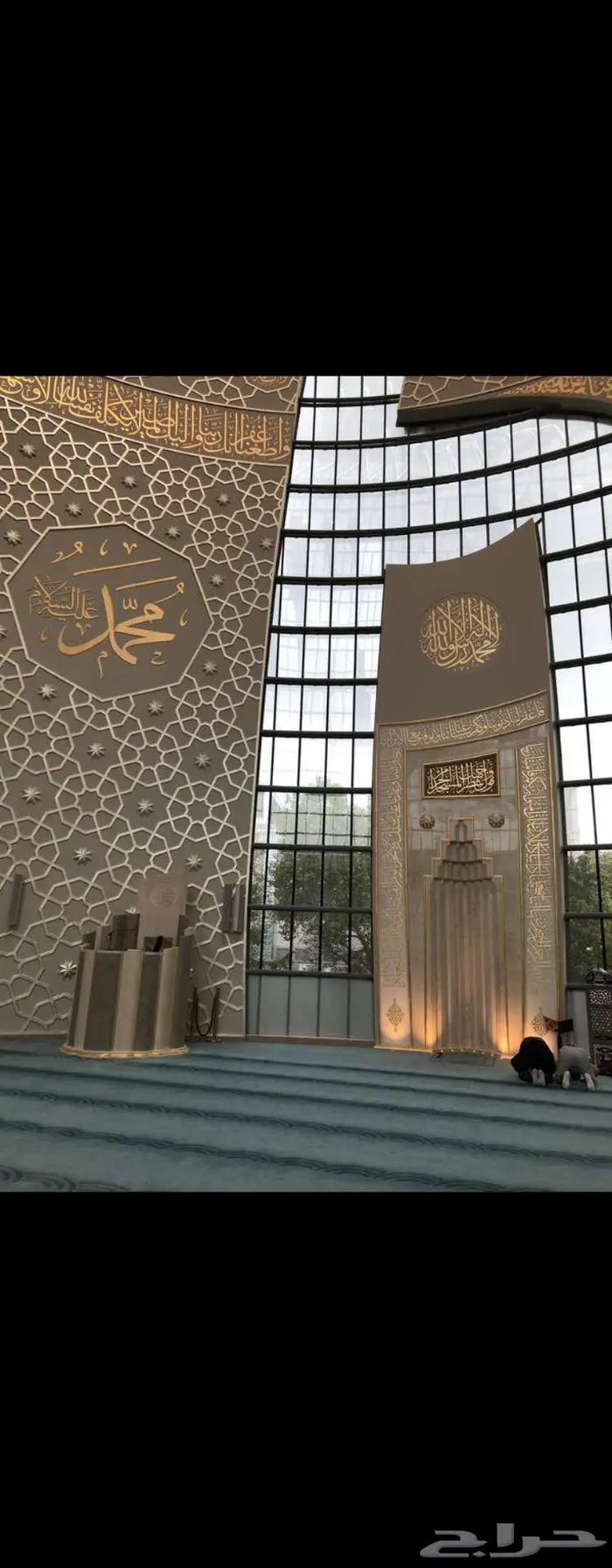 دراسات وافكار مشاريع ناجحه 0