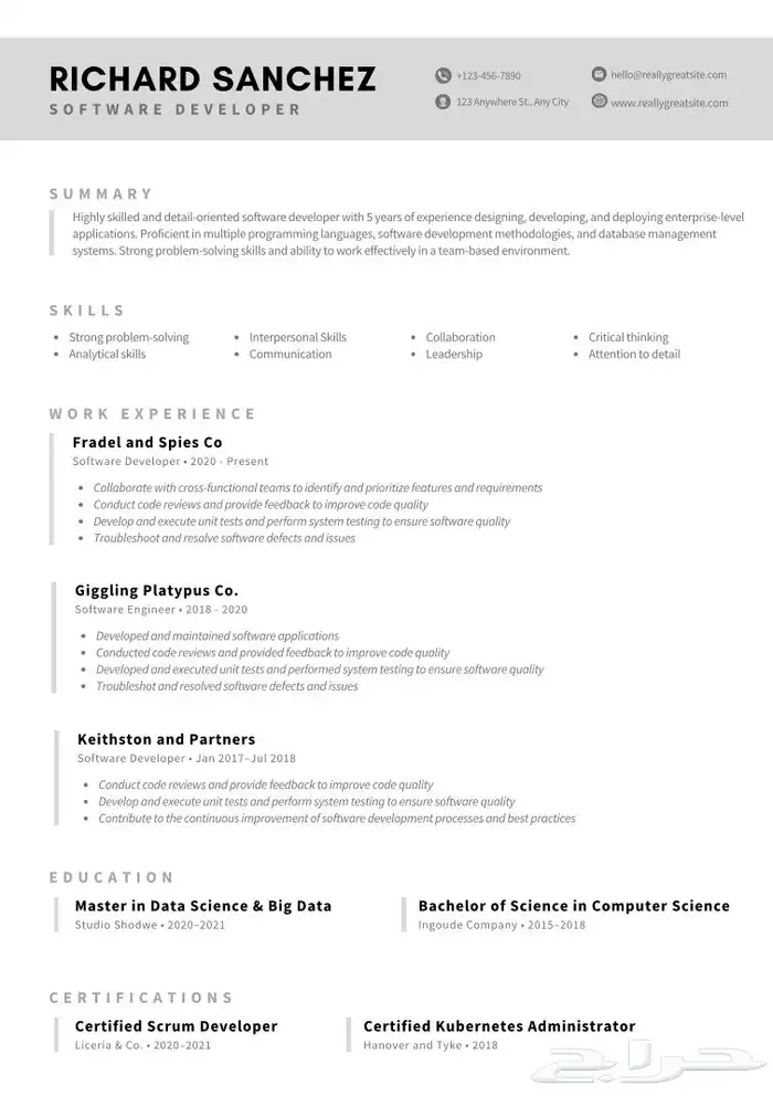 تصميم سيرة ذاتية ATS 2