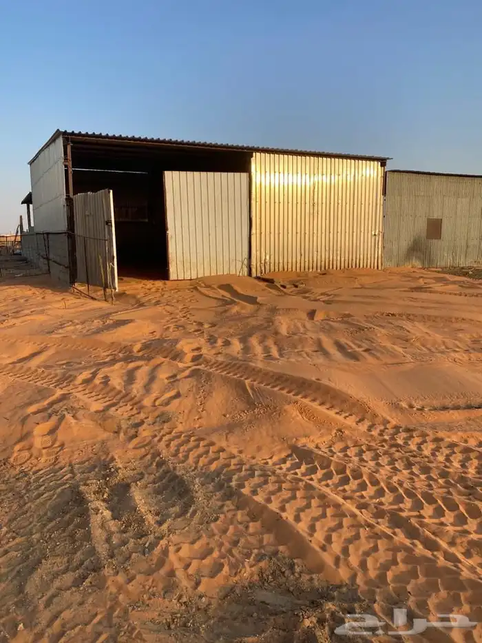 مزرعه للبيع في الحماده فروثي 5