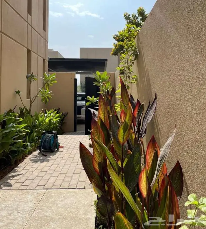 تنسيق حدائق بالرياض 0