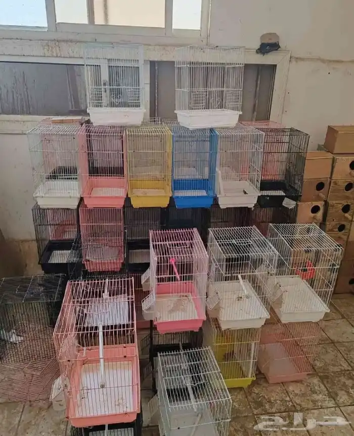 فندقة طيور باسعار مناسبة 3