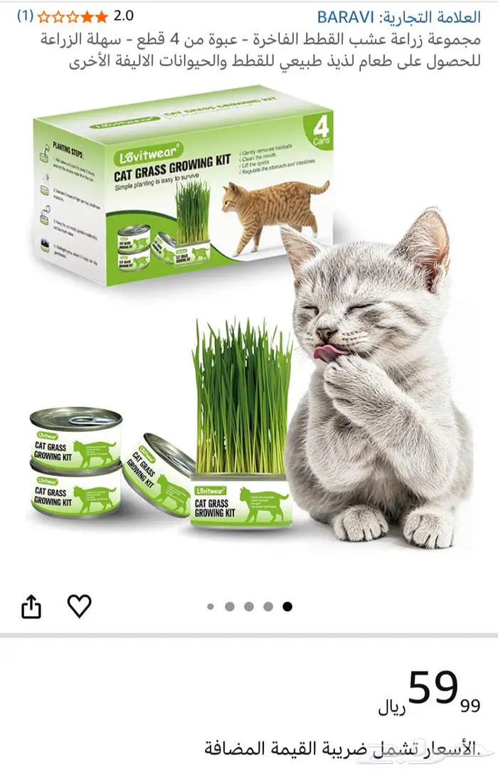 حشيشة القطط 1