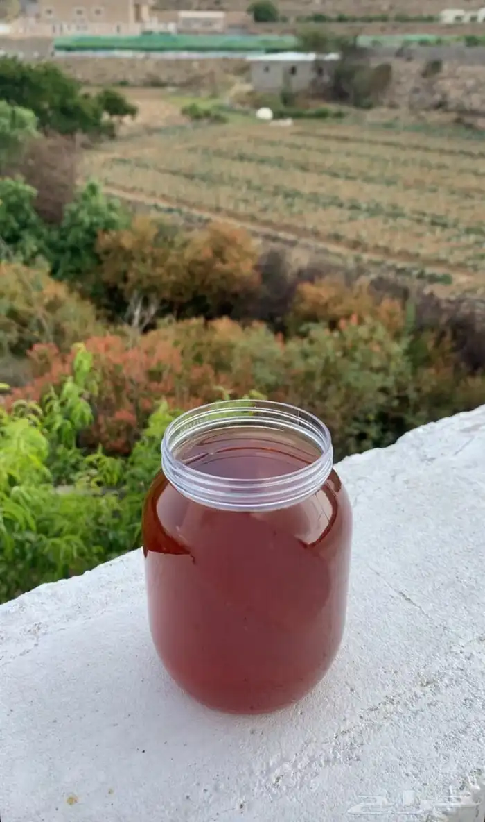 عسل الجنوب بلدي 4
