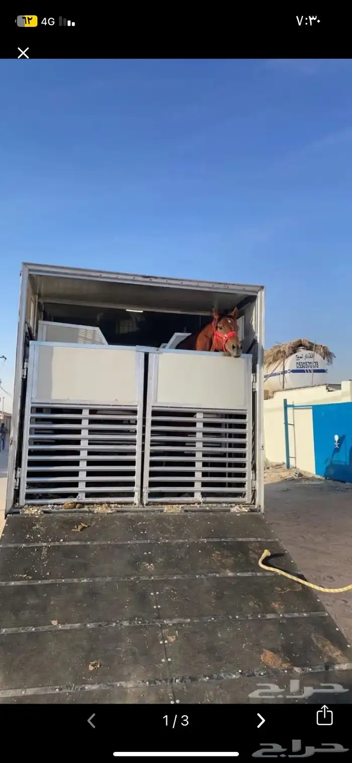 مطلوب عربه مشتركه متجه م الدمام الى سباق القدرة في القويعيه 0