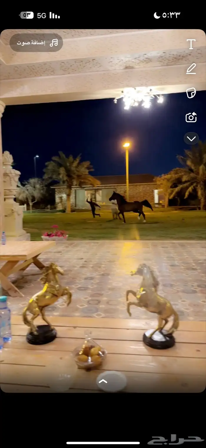 تدريب للشو وإيواءوشراء خيل بغرف مكيفة ومعزولة عزل خيلك بأمان 2