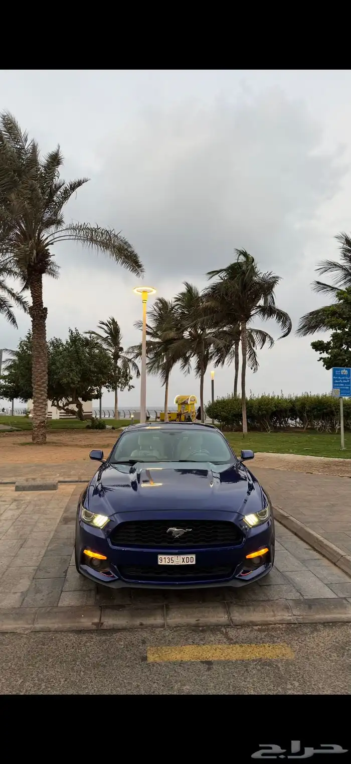 موستنق 2015 v6 وارد امريكي ماشي 300 الف للبيع 29