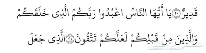ابحث عن شقة اجار حول جامع مالك بن انس او السلطانه 0