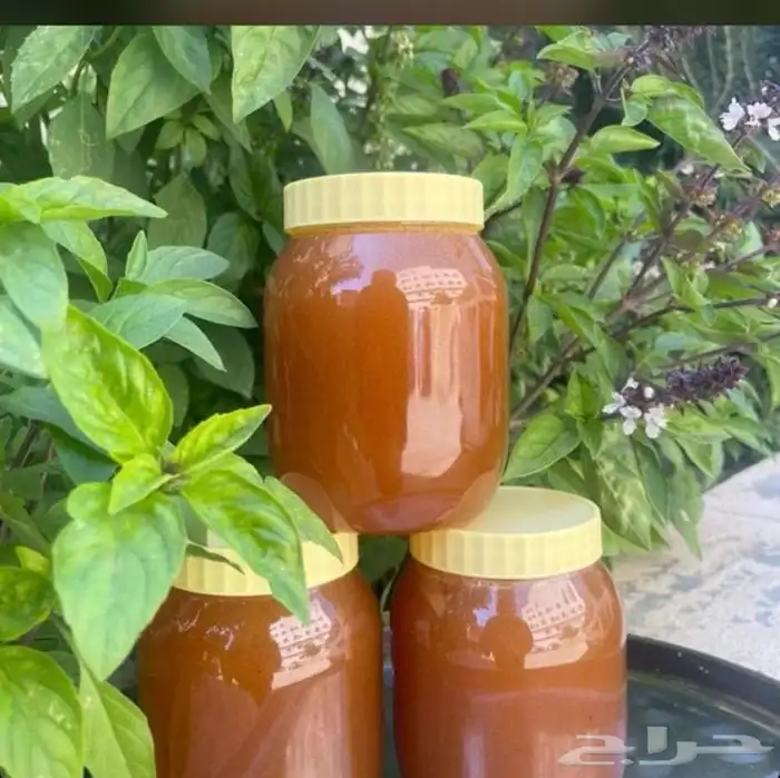 عسل الجنوب بلدي 3