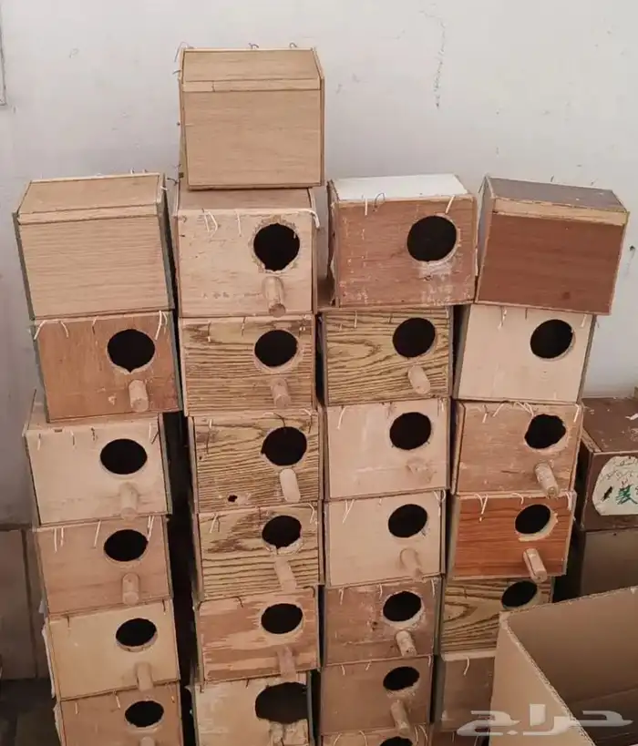 فندقة طيور باسعار مناسبة 2