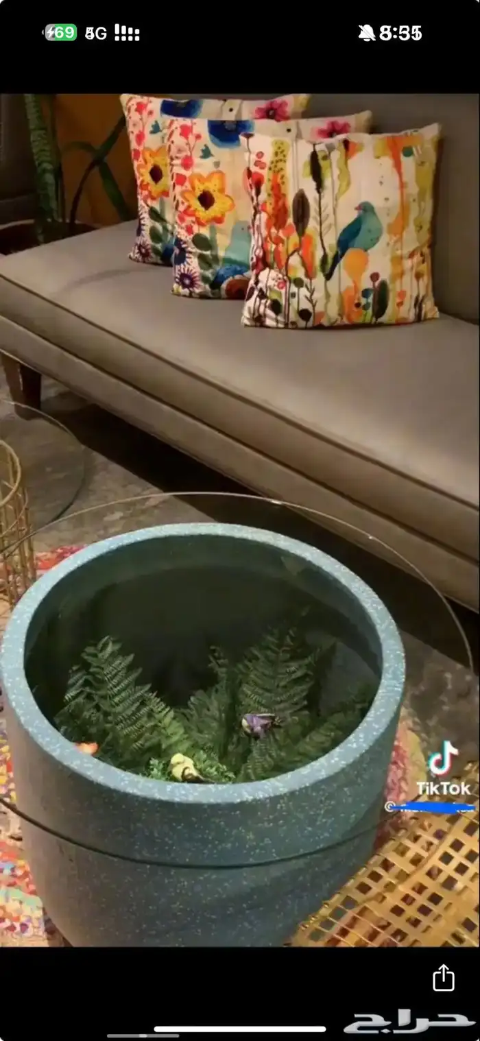 كافي للتقبيل 3