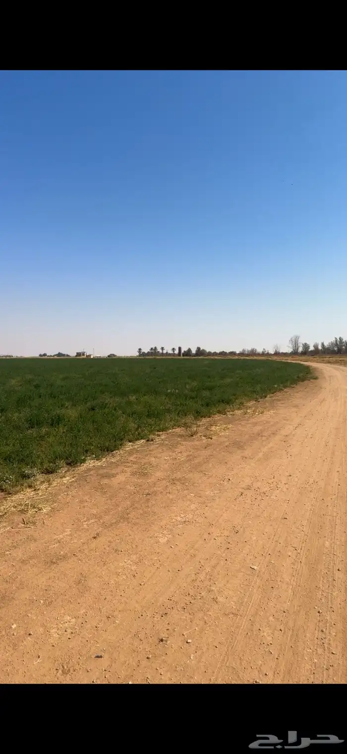 للبيع مزرعة بصك مستقل بام رقاتين 7