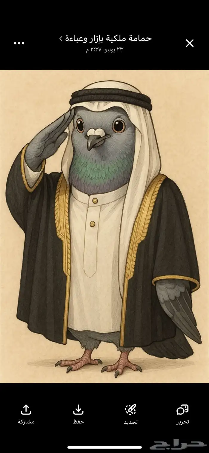 حمام كنق مودينا 0