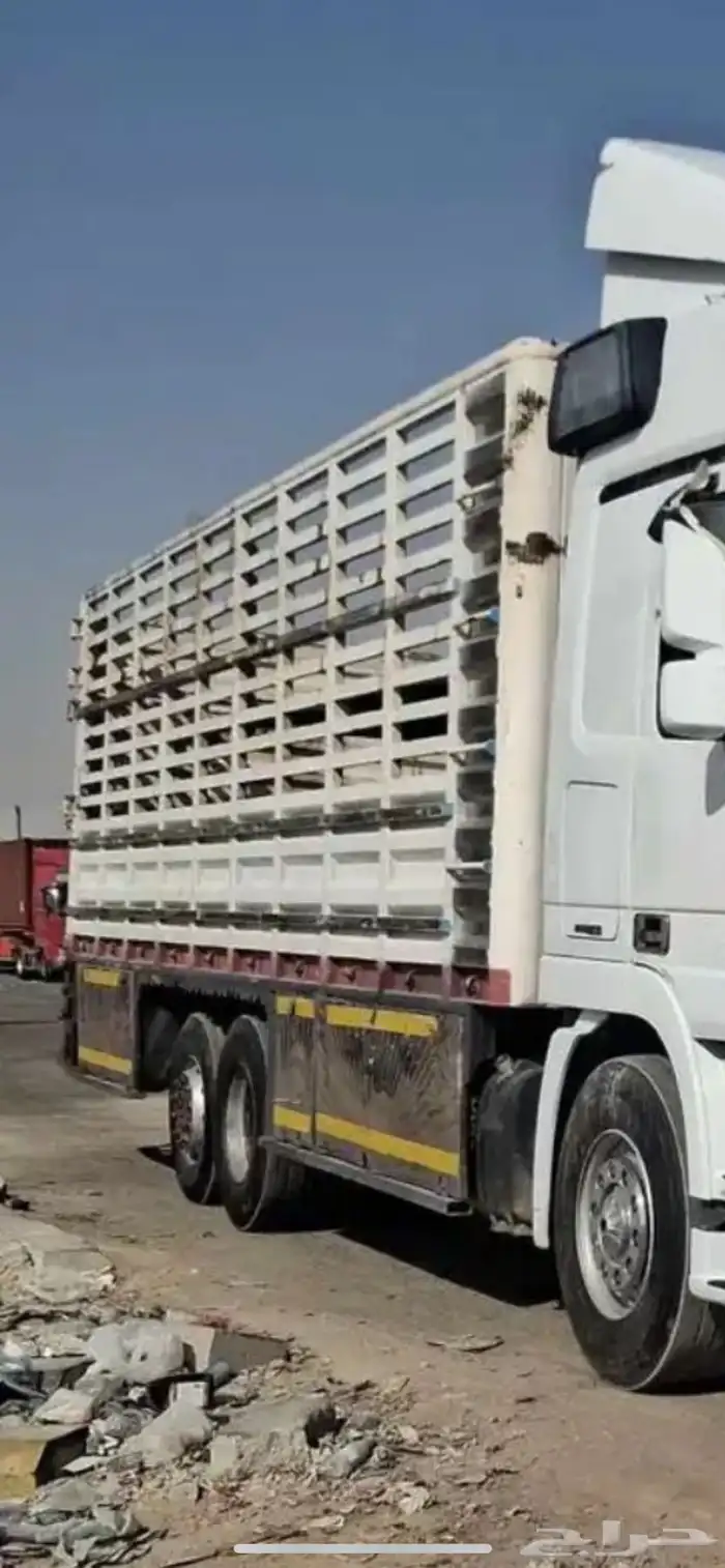 مسكس اكتروس ( صندوق ) 0