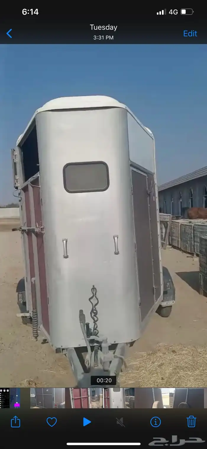 عربة خيل للبيع 4