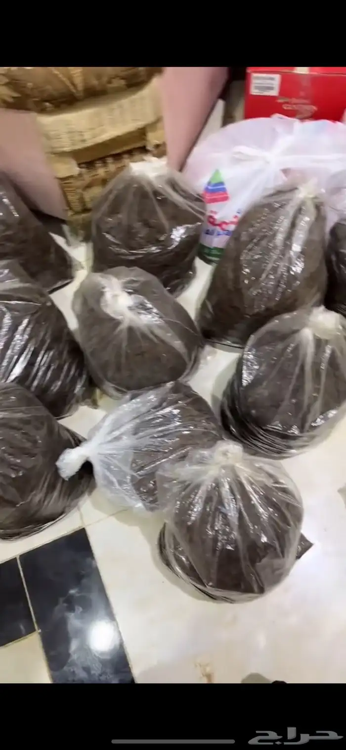 دلكة سودانية 0