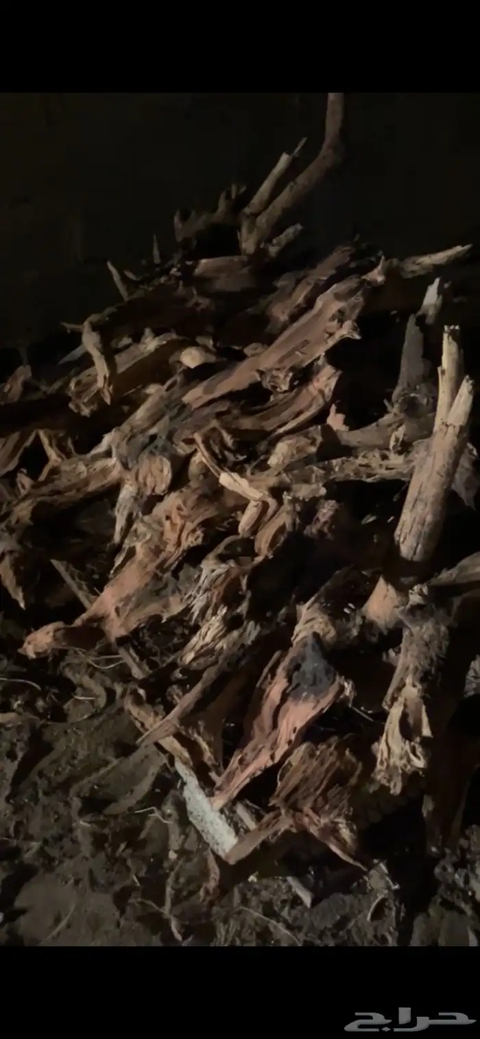 سمر مستورد 0