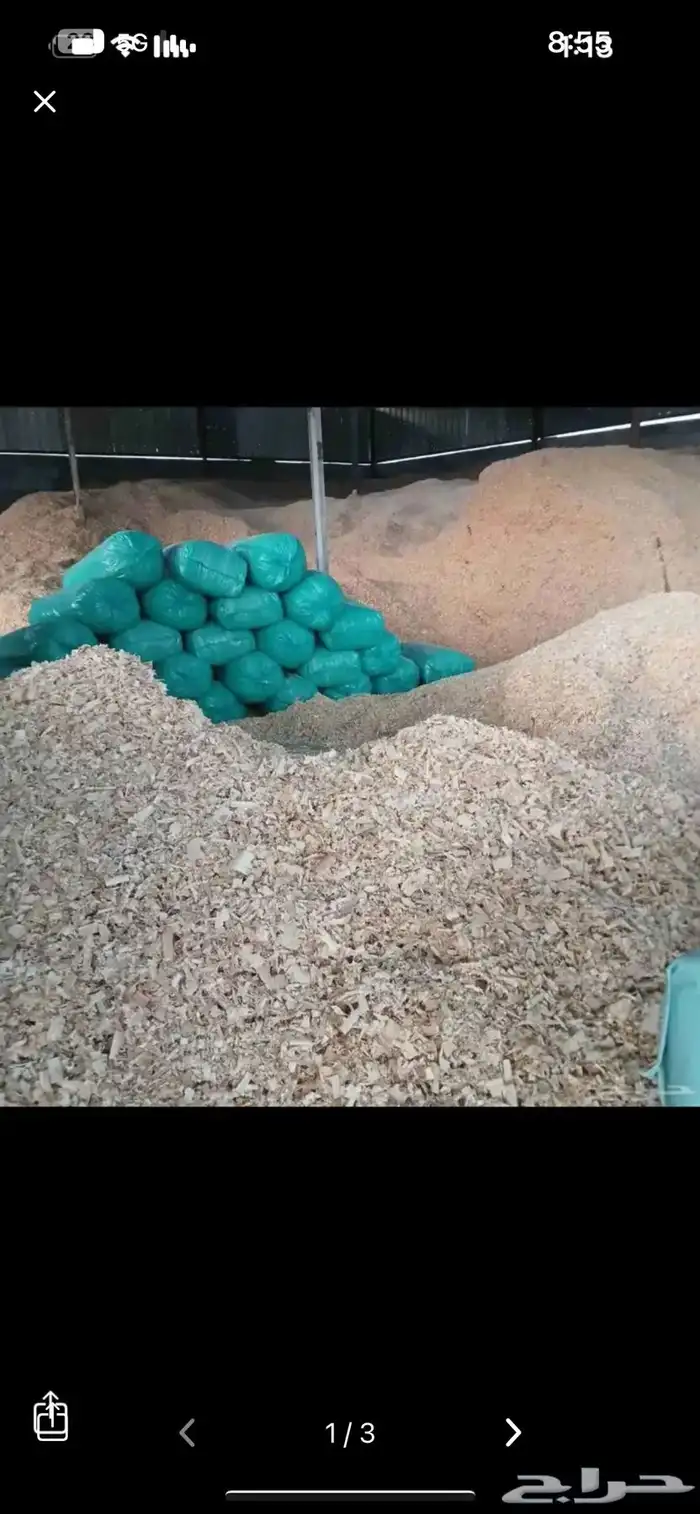 نشارة خشب   دواجن  خيول  اصطبلات 1