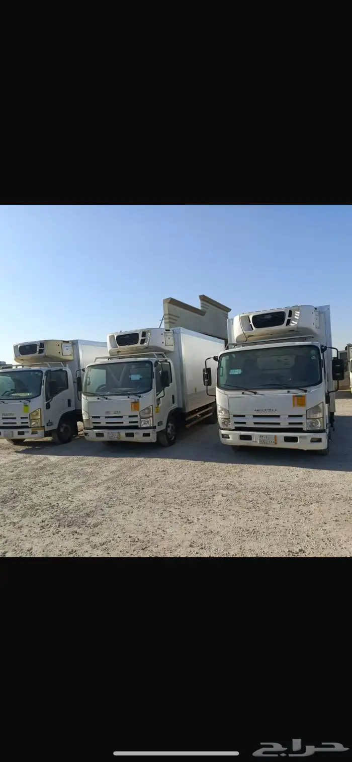 دينا تبريد تجميد جاف للتاجير الشهري 0