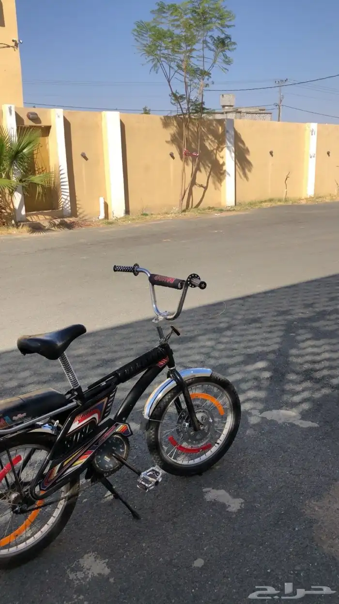 سيكل رامبو درجه اول 0