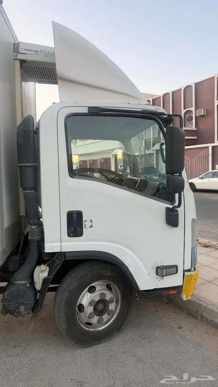 دينا ايسوزو 1