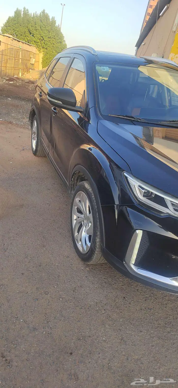 فاو بيستون 2022 فل 11