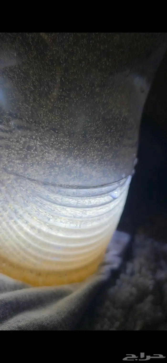 ارتيميا غذاء الأسماك 2