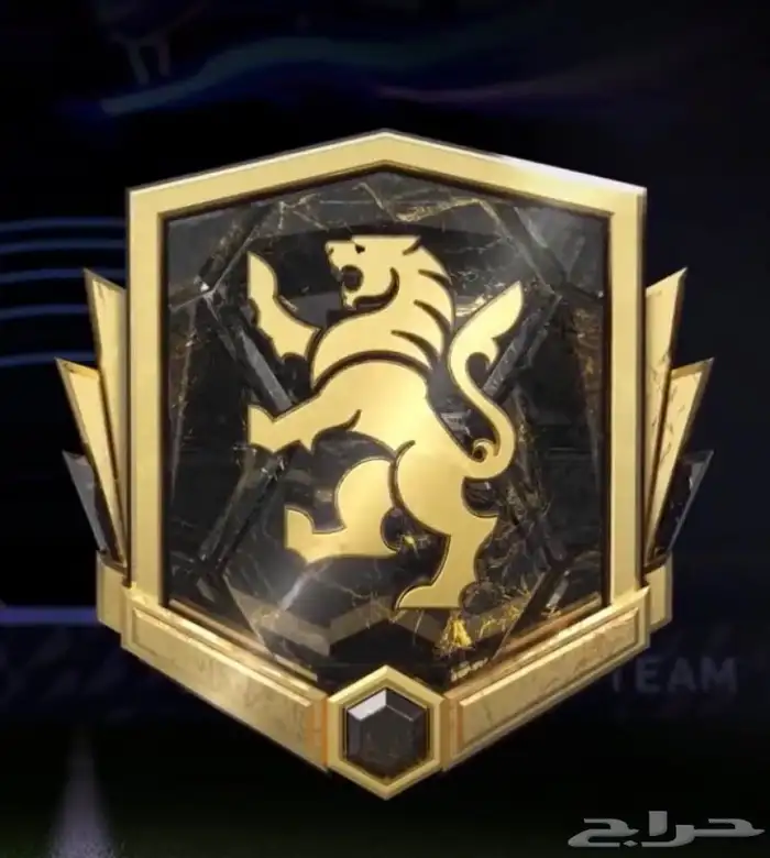 نوصلك دفجن الأليت فيفا 26للبي سي 0