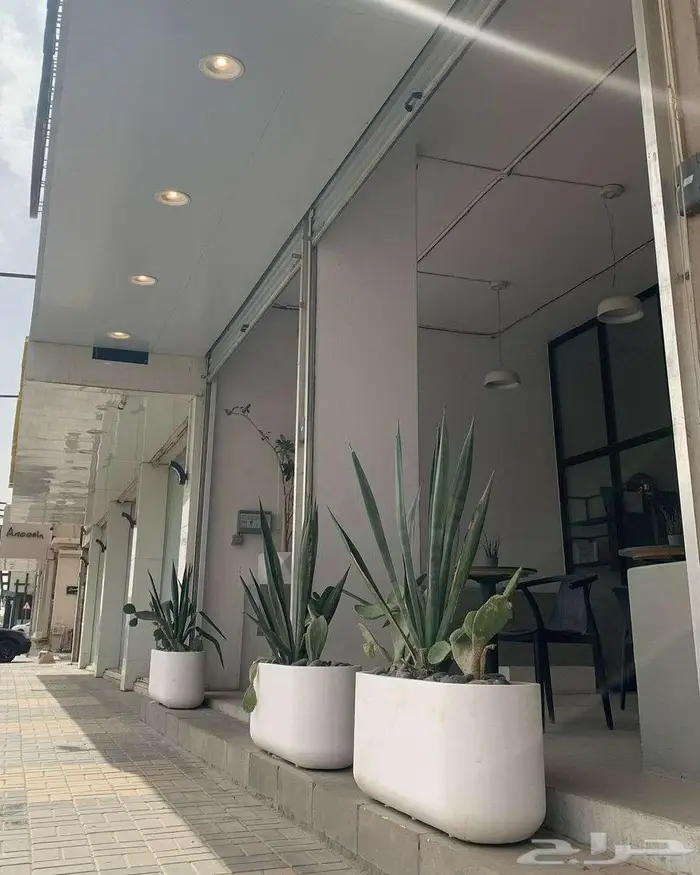 احواض زرع جملة ومراكن كبيرة للأشجار الرياض 22