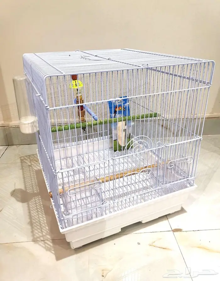قفص وستاند للطيور ومستلزمات جديد بأرخص الاسعار 10