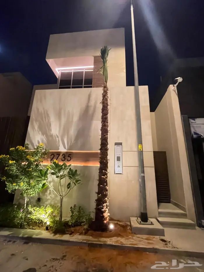 يوجد لدينار نخيل واشنطونياء زينه شامل التوصيل والزراعه 2