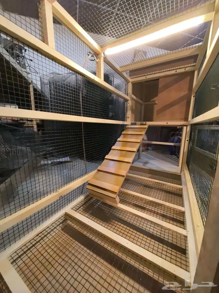 بيت قطط أو كلاب زينه 4