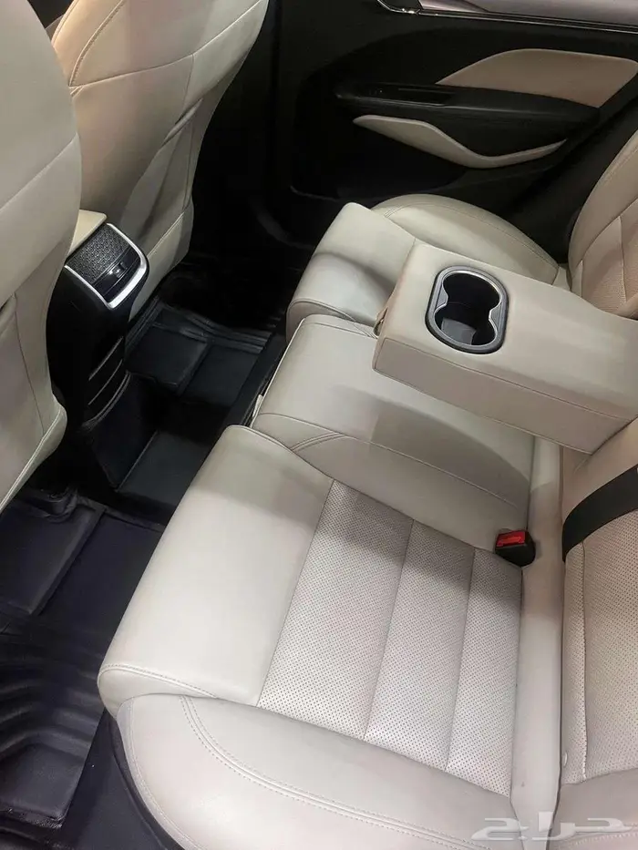 جيلي بينراي 2020 1