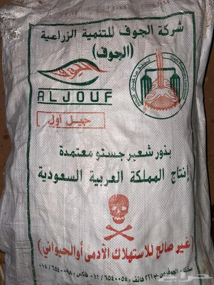 بذر شعير سداسي (جستو) 0