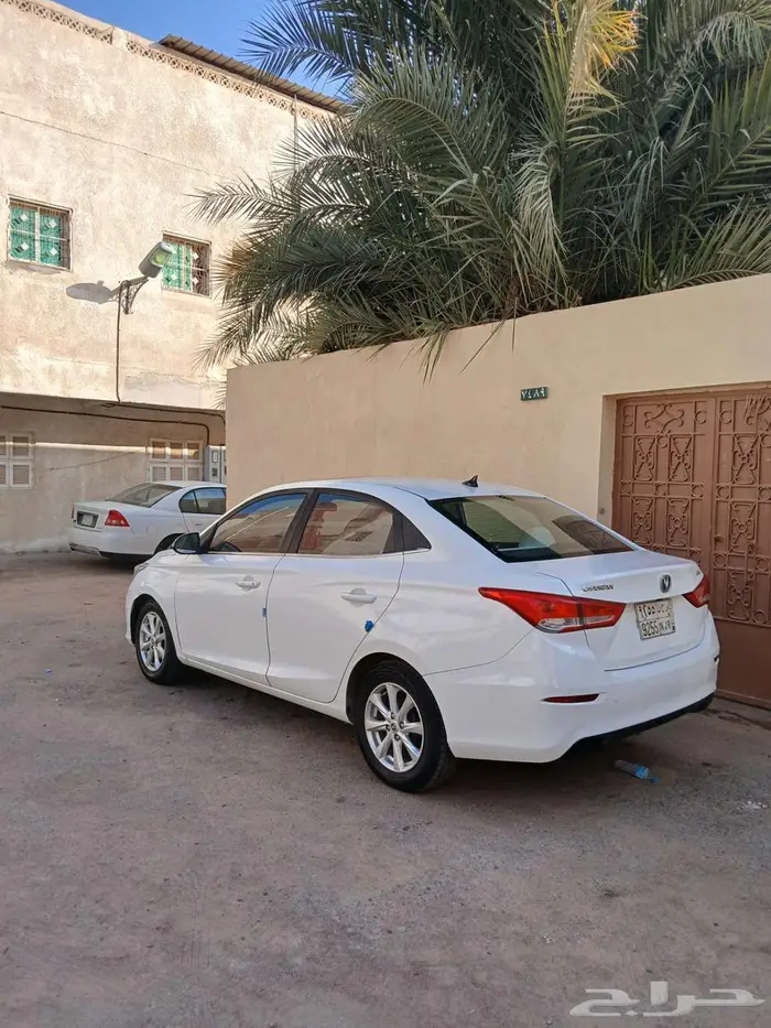 شانجان السفن 2023 فل كامل 3