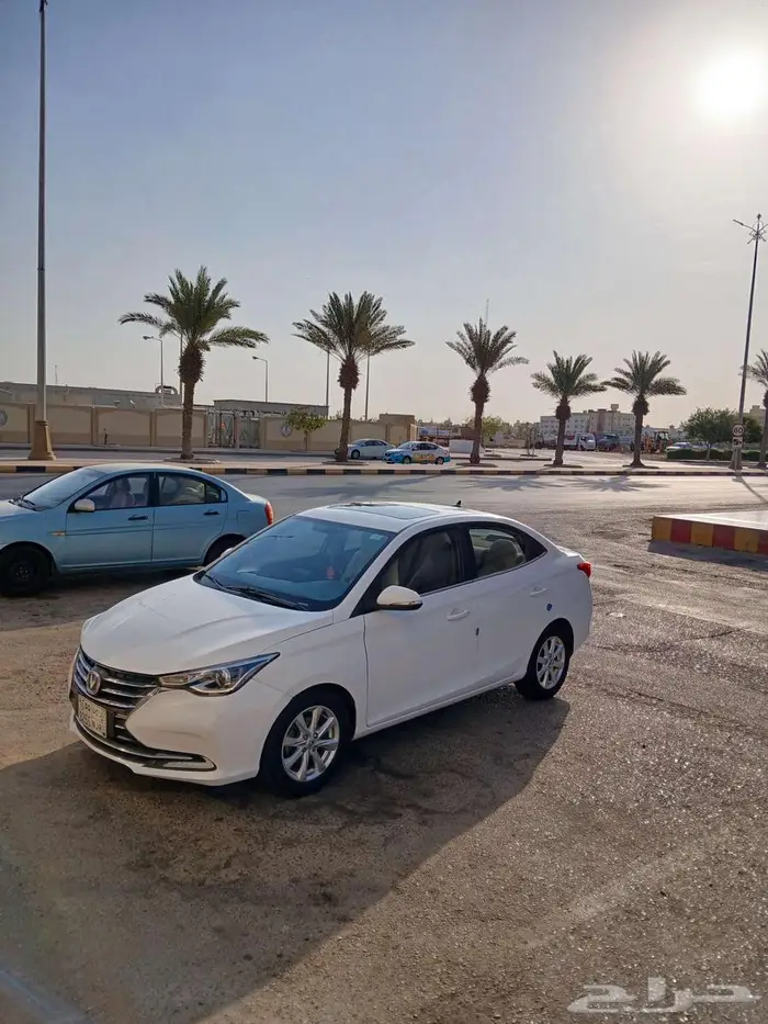 شانجان السفن 2023 فل كامل 8