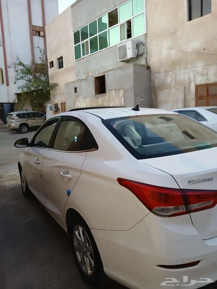 شانجان السفن 2023 فل كامل 9