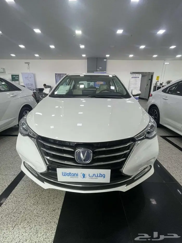 شانجان السفن سعر خاص 1