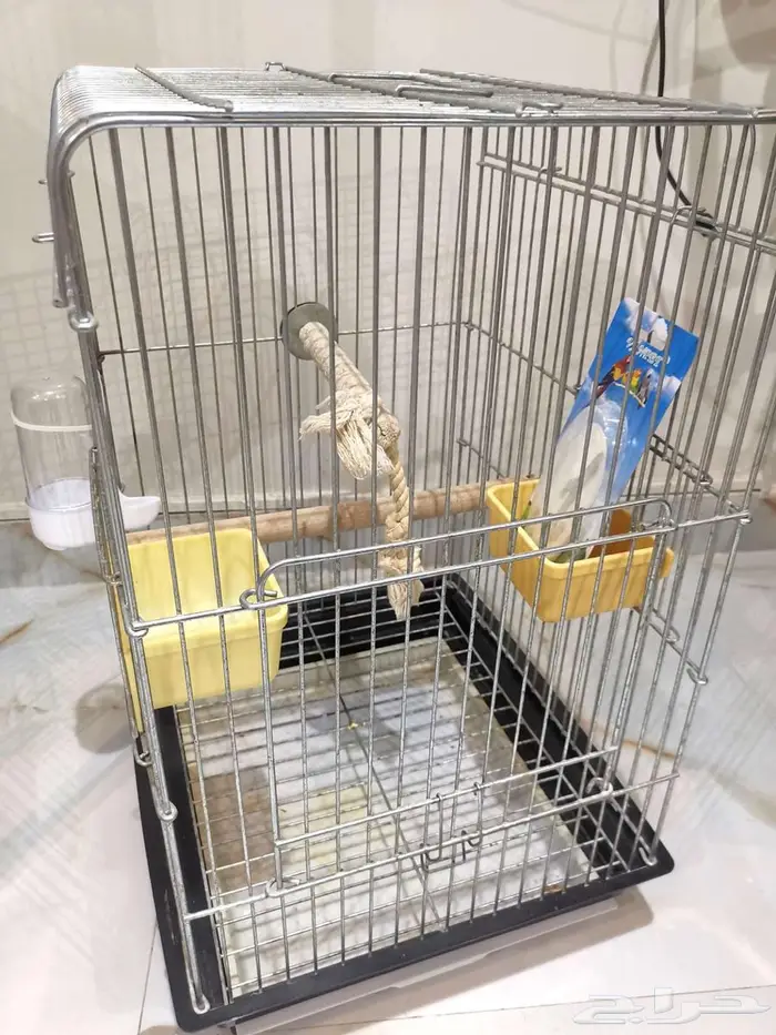 قفص وستاند للطيور ومستلزمات جديد بأرخص الاسعار 18